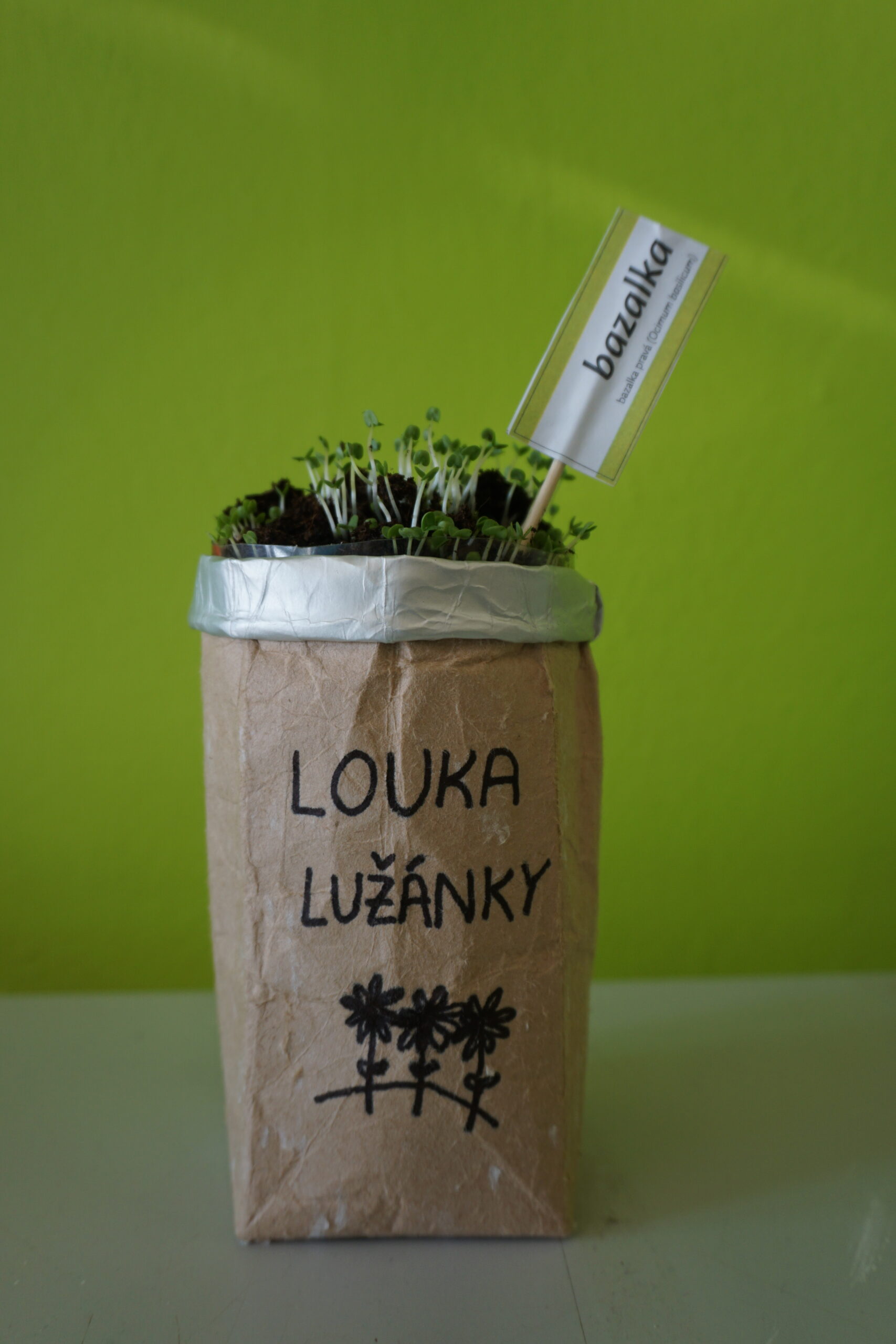 Upcycling Jak Si Doma Vyrobit Samozavla ovac Kv tin Na Bylinky 